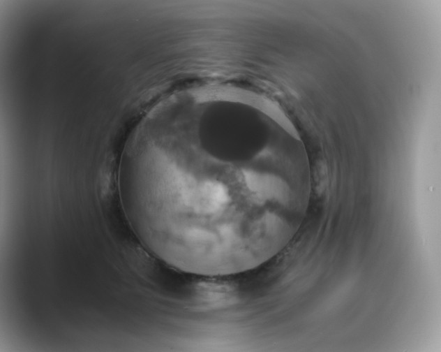 X0000089730515200707051741