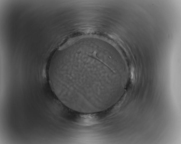 X0000089730516200707051741