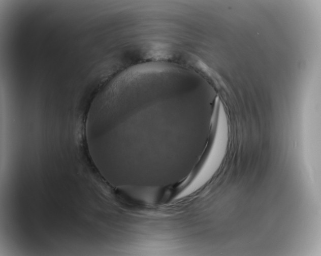 X0000089730517200707051741