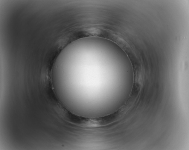 X0000089730518200707051741