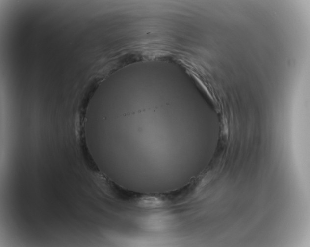 X0000089730519200707051741