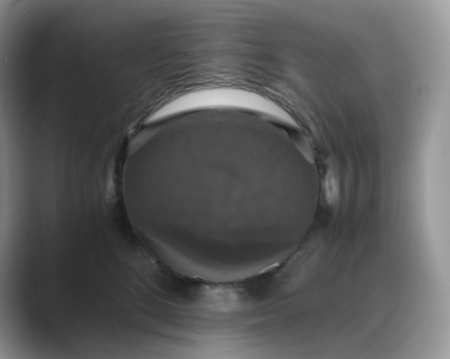X0000089730520200707051741