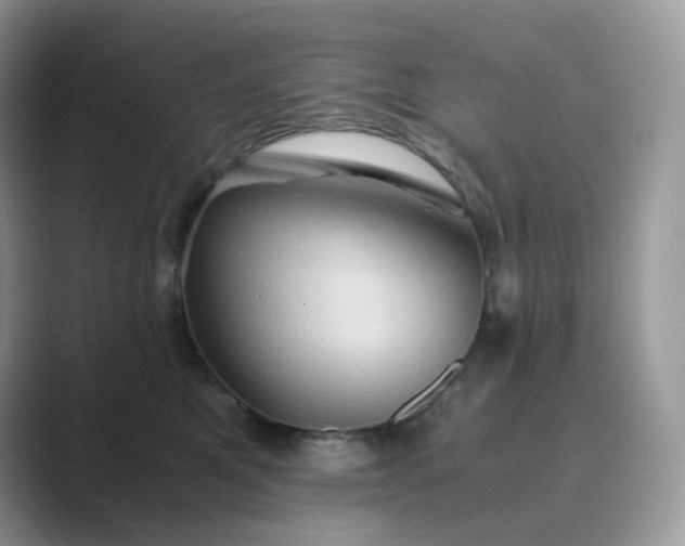 X0000089730521200707051741