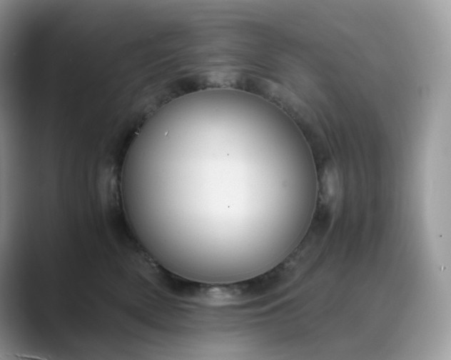 X0000089730522200707051741