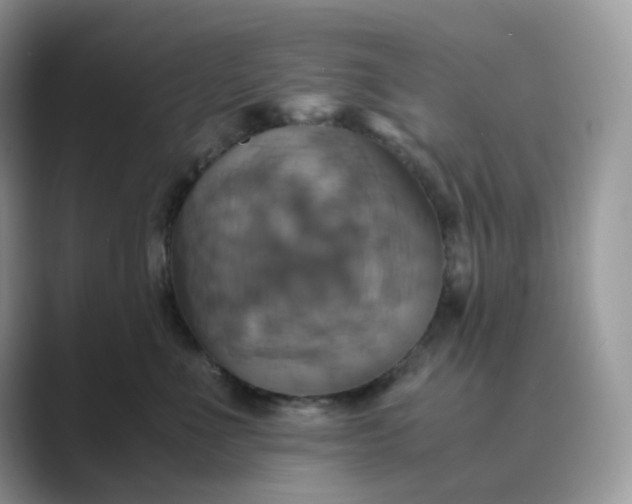 X0000089730523200707051741