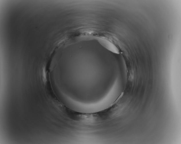 X0000089730524200707051741