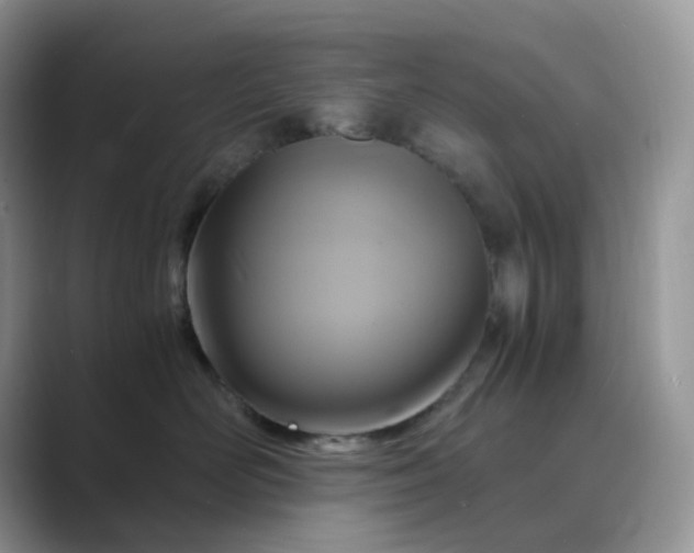 X0000089730526200707051741