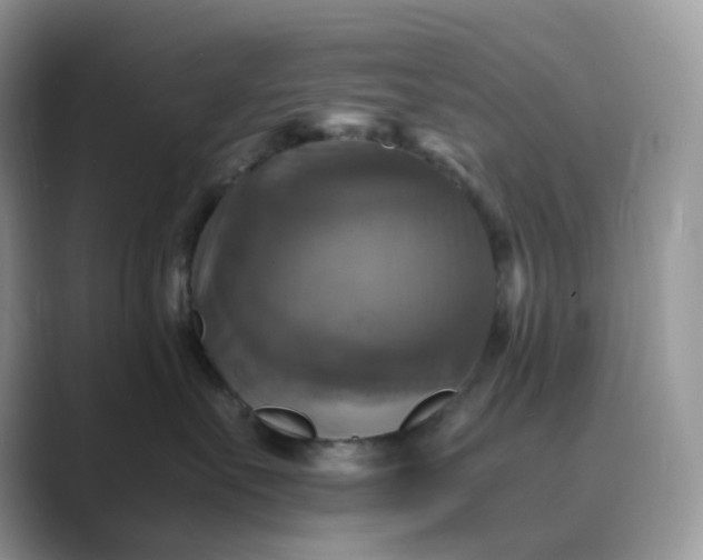 X0000089730527200707051741