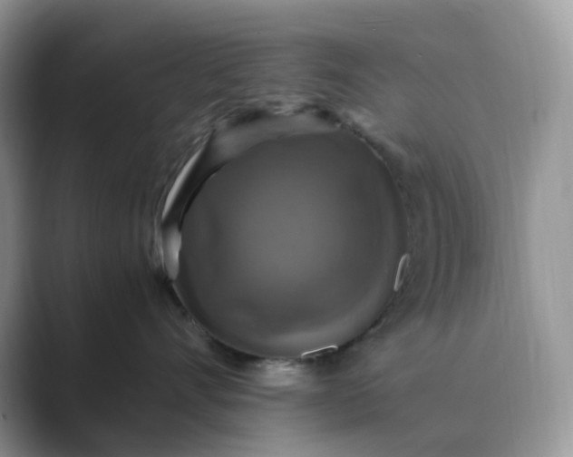 X0000089730528200707051741