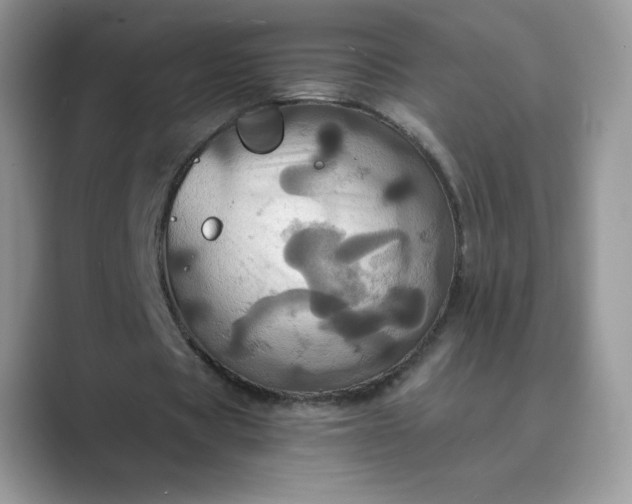 X0000089730529200707051740