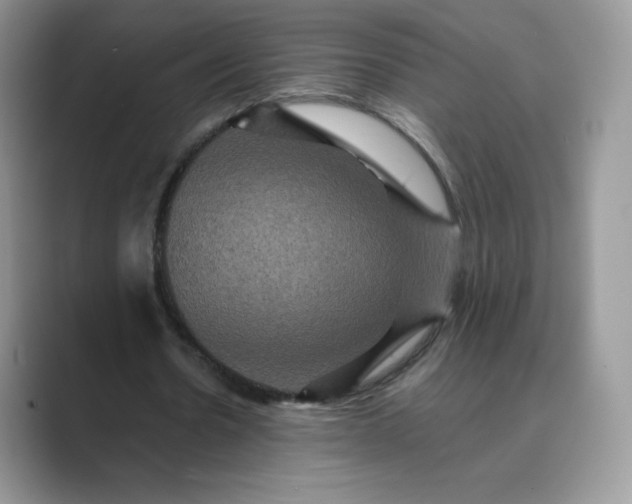 X0000089730530200707051740