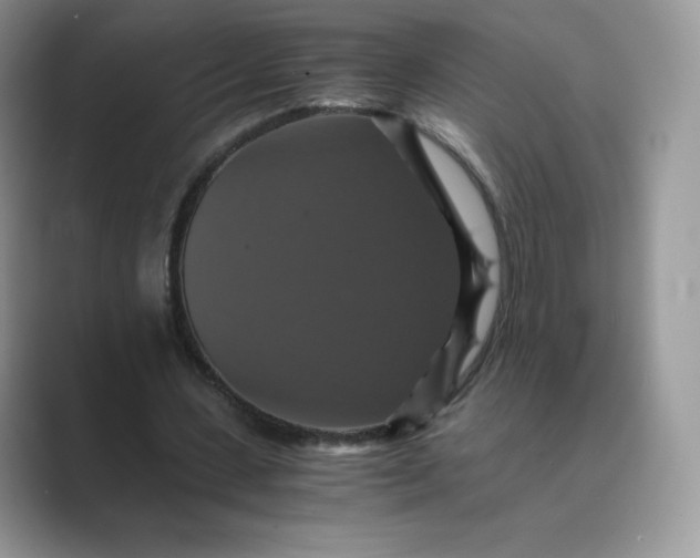 X0000089730531200707051740