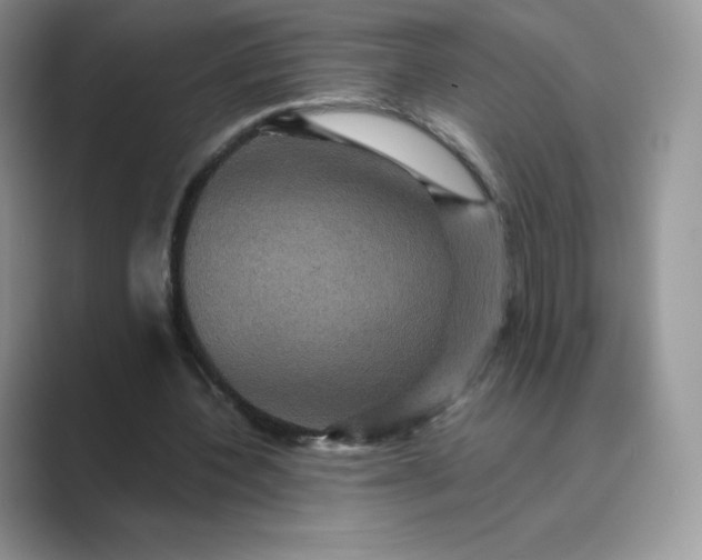 X0000089730532200707051740