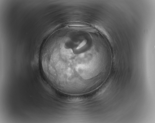 X0000089730533200707051740