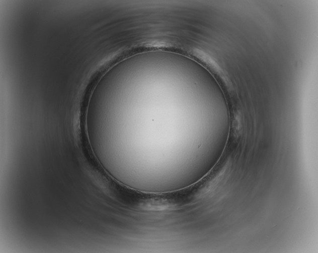 X0000089730535200707051740