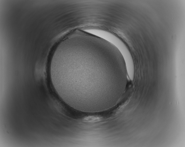 X0000089730536200707051740