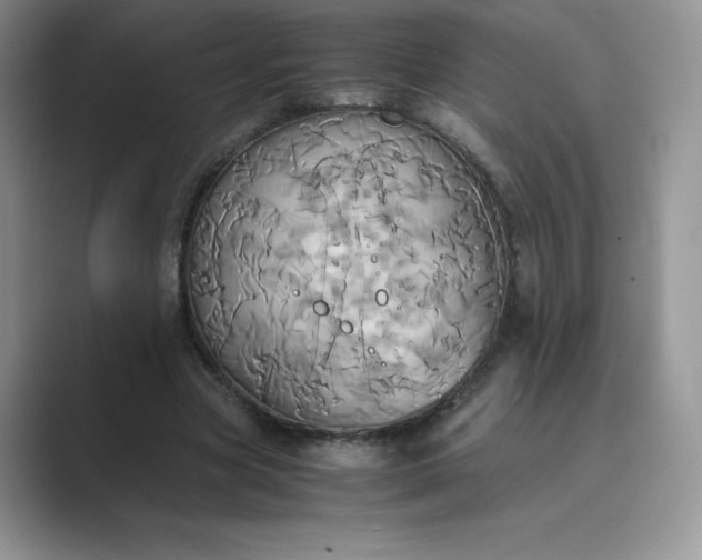 X0000089730537200707051740