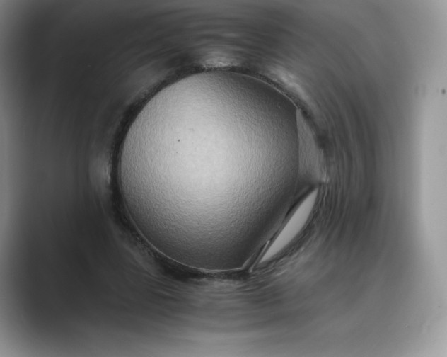 X0000089730539200707051740