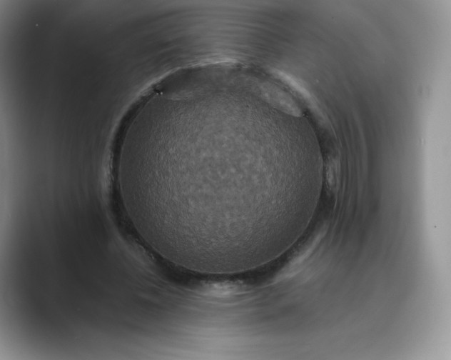 X0000089730540200707051740