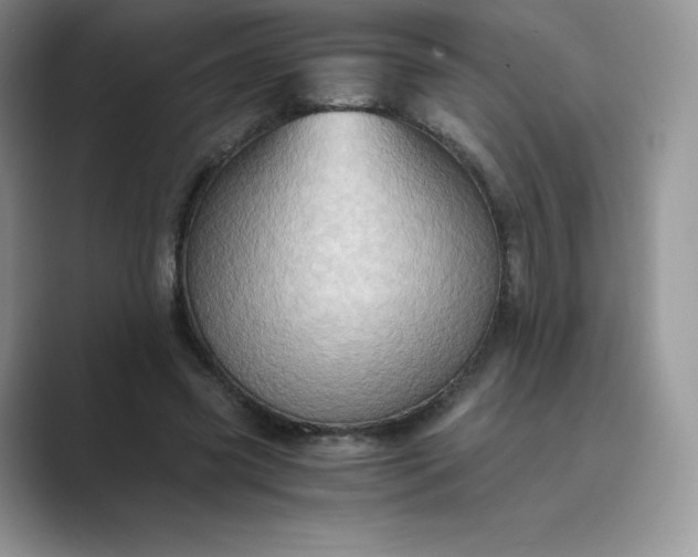 X0000089730541200707051741