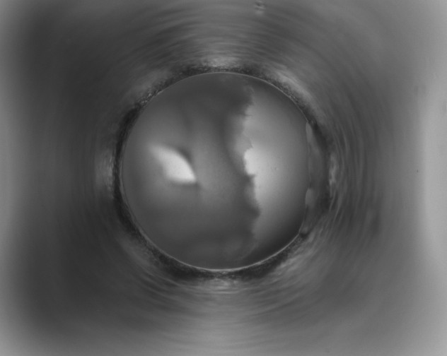 X0000089730542200707051741