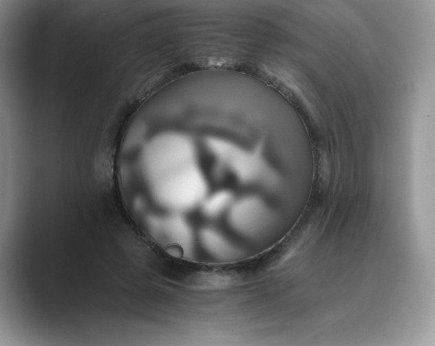 X0000089730545200707051741