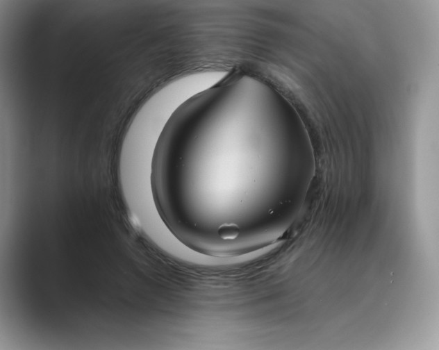 X0000089730546200707051741