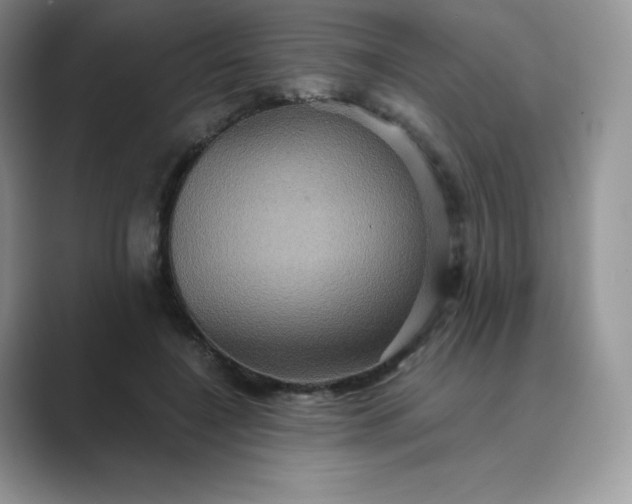 X0000089730548200707051741