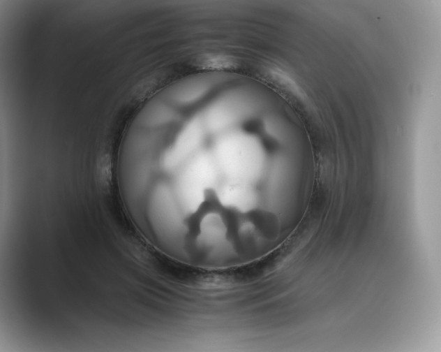 X0000089730549200707051741
