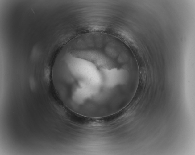 X0000089730550200707051741
