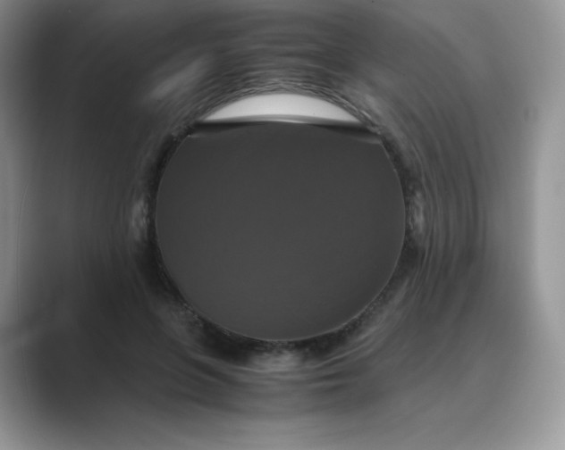 X0000089730551200707051741