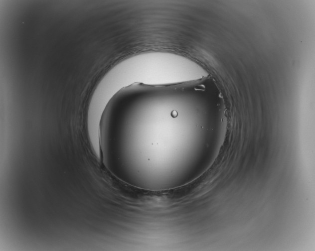 X0000089730552200707051741