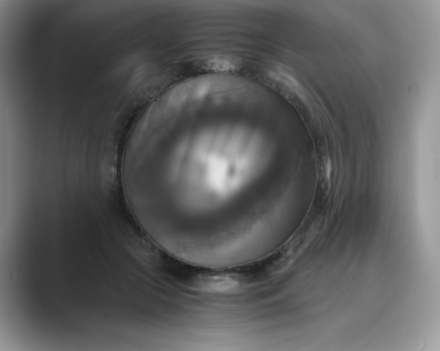 X0000089730553200707051741