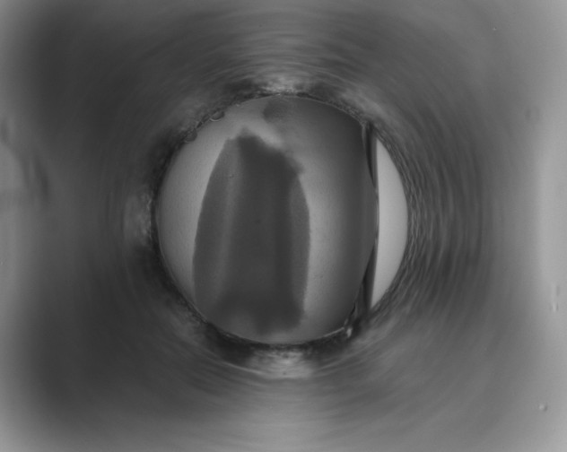 X0000089730554200707051741