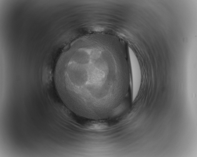 X0000089730555200707051741