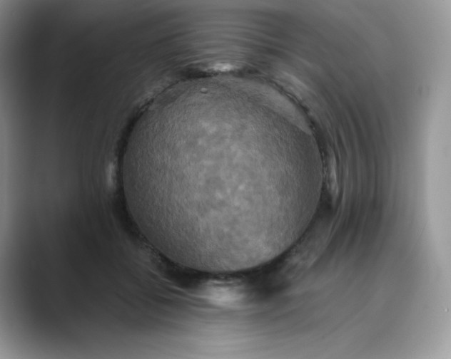 X0000089730556200707051741