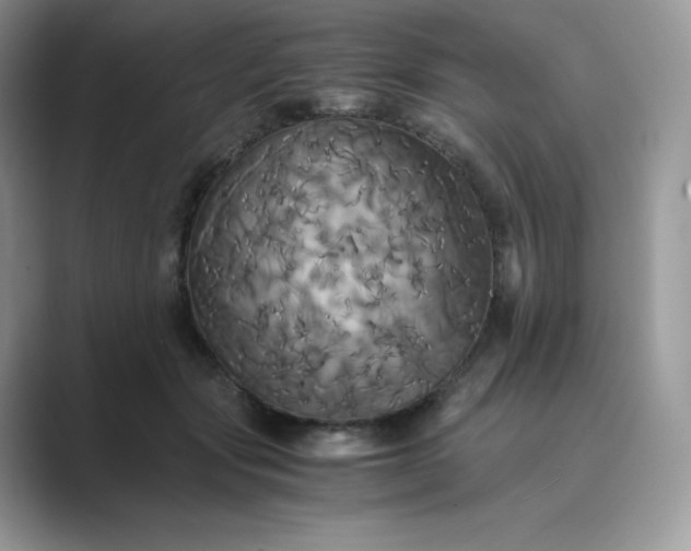 X0000089730557200707051741