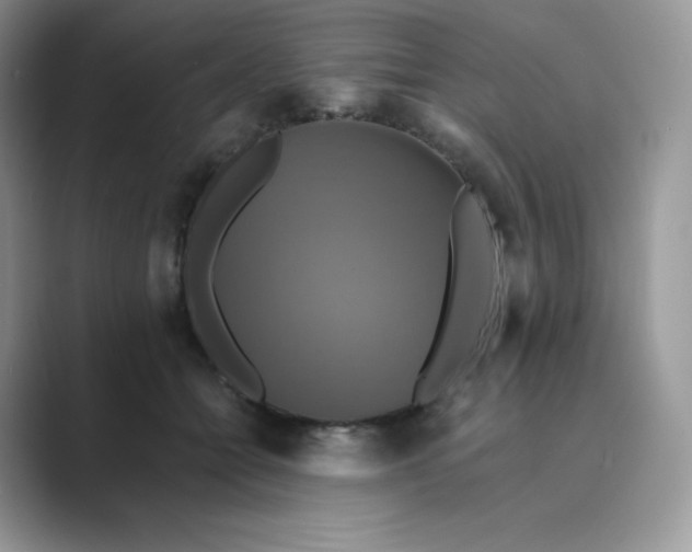 X0000089730558200707051741