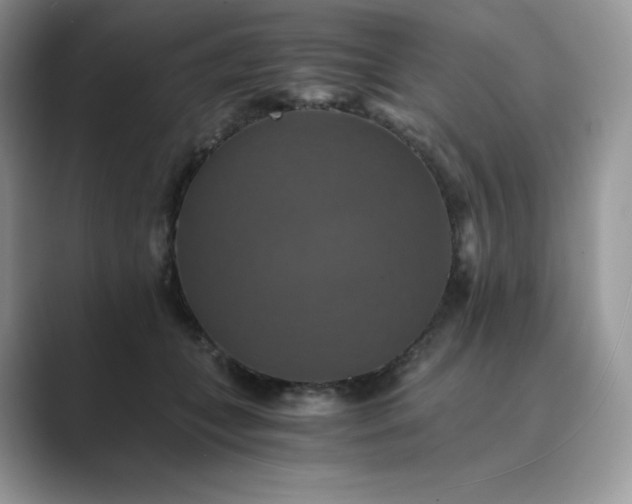 X0000089730559200707051741