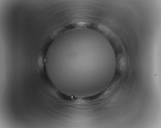 X0000089730562200707051741