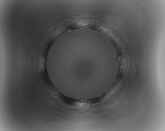 X0000089730563200707051741
