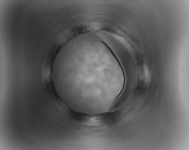 X0000089730564200707051741