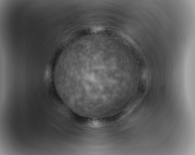 X0000089730565200707051741