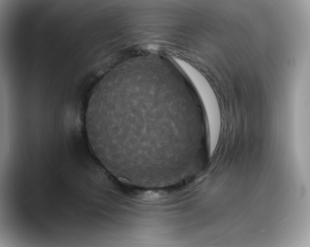 X0000089730566200707051741