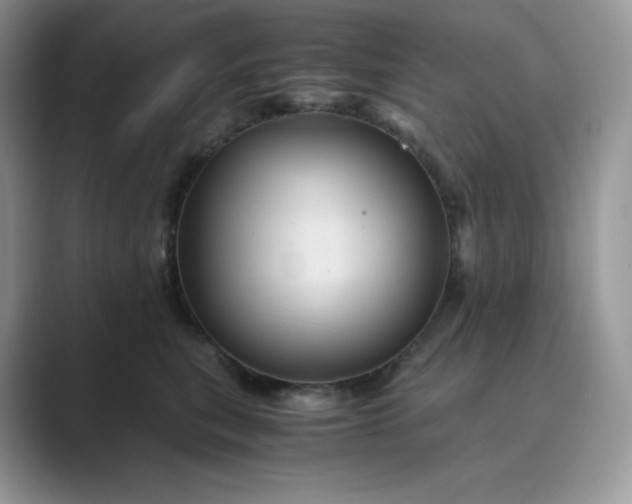 X0000089730567200707051741