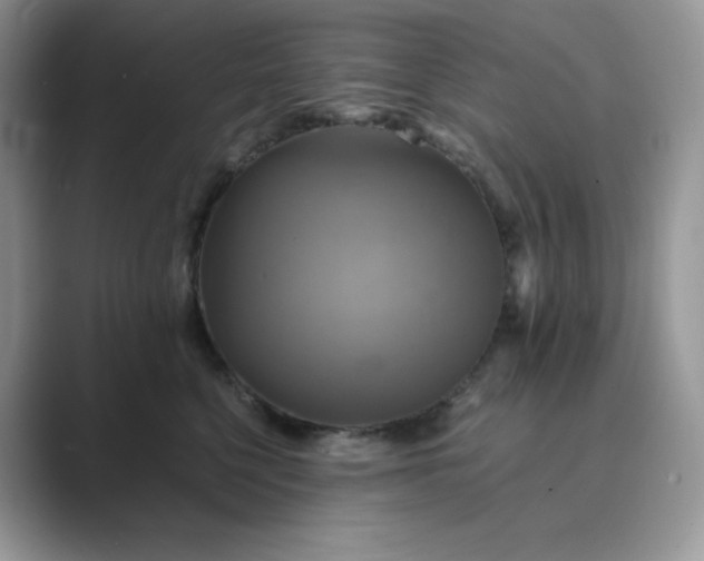 X0000089730568200707051741