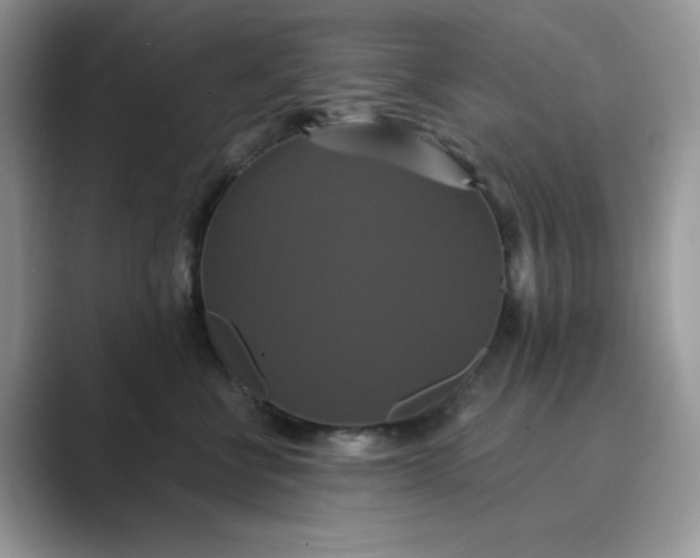 X0000089730570200707051741