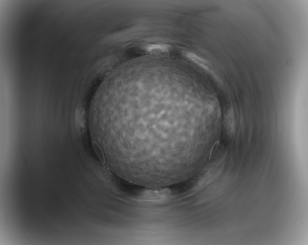 X0000089730571200707051741