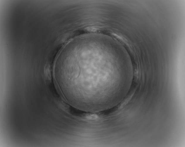 X0000089730572200707051741