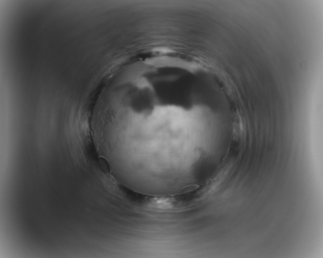 X0000089730573200707051741